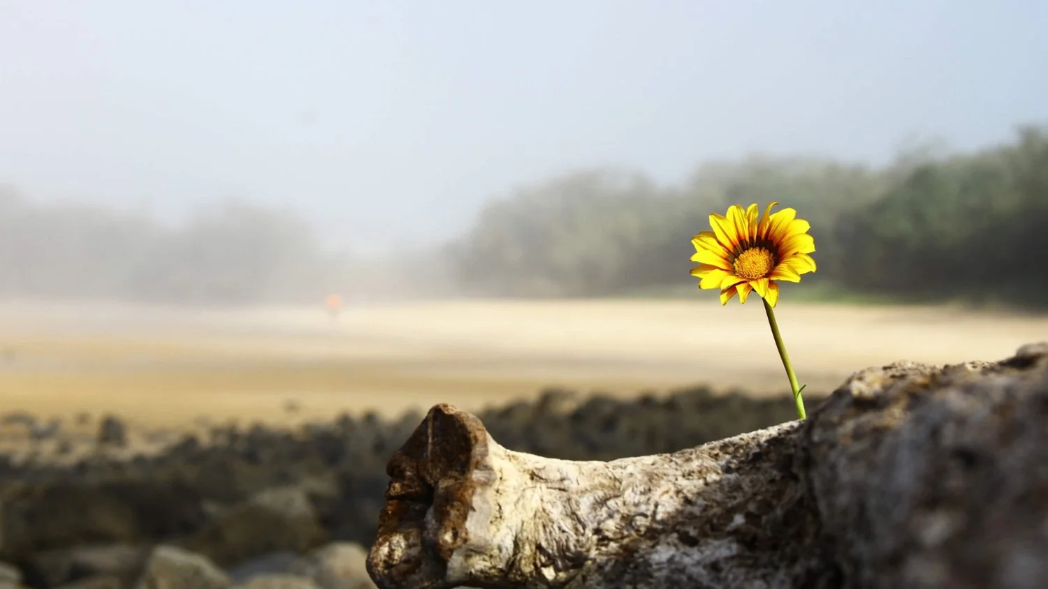 Keeping Our Eyes on Hope Amid Disaster