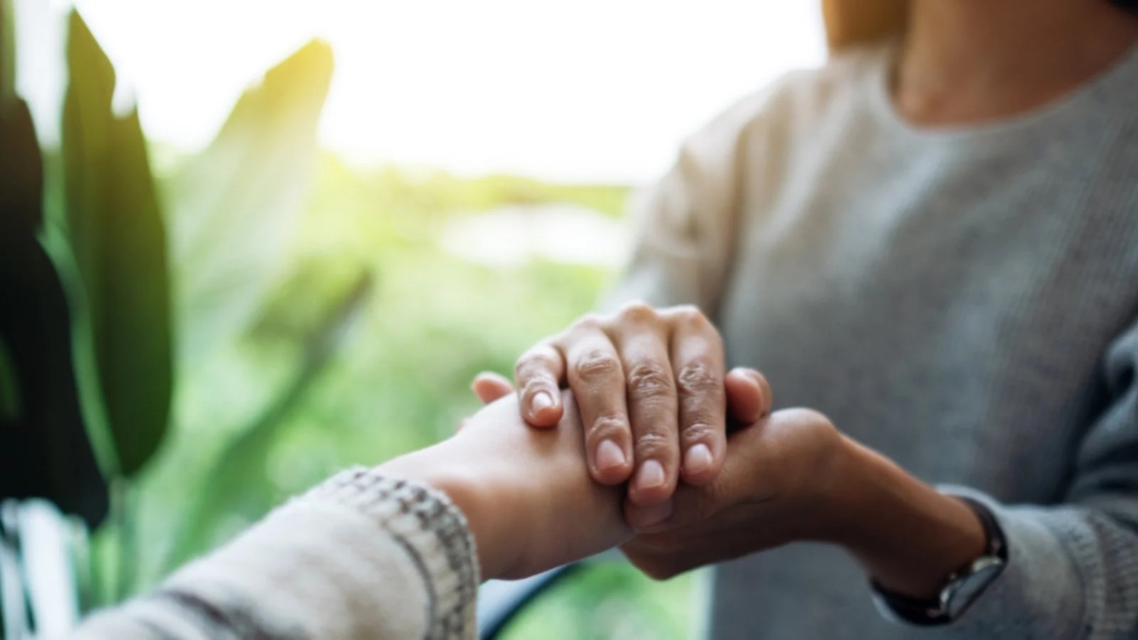 A Focus on Love