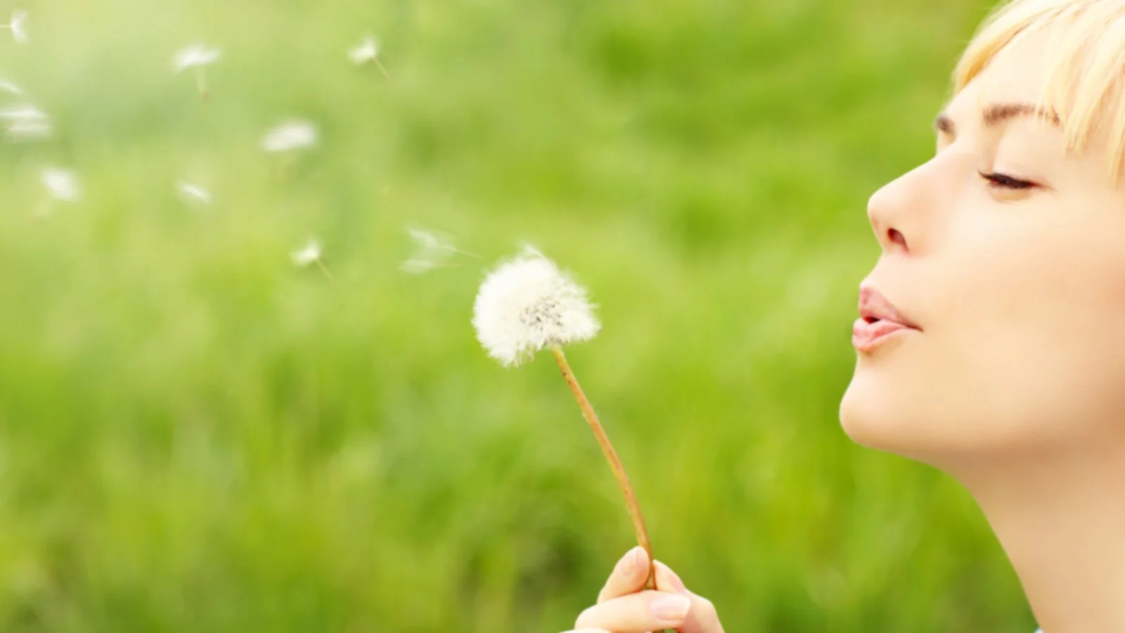 Joy in the Little Pieces