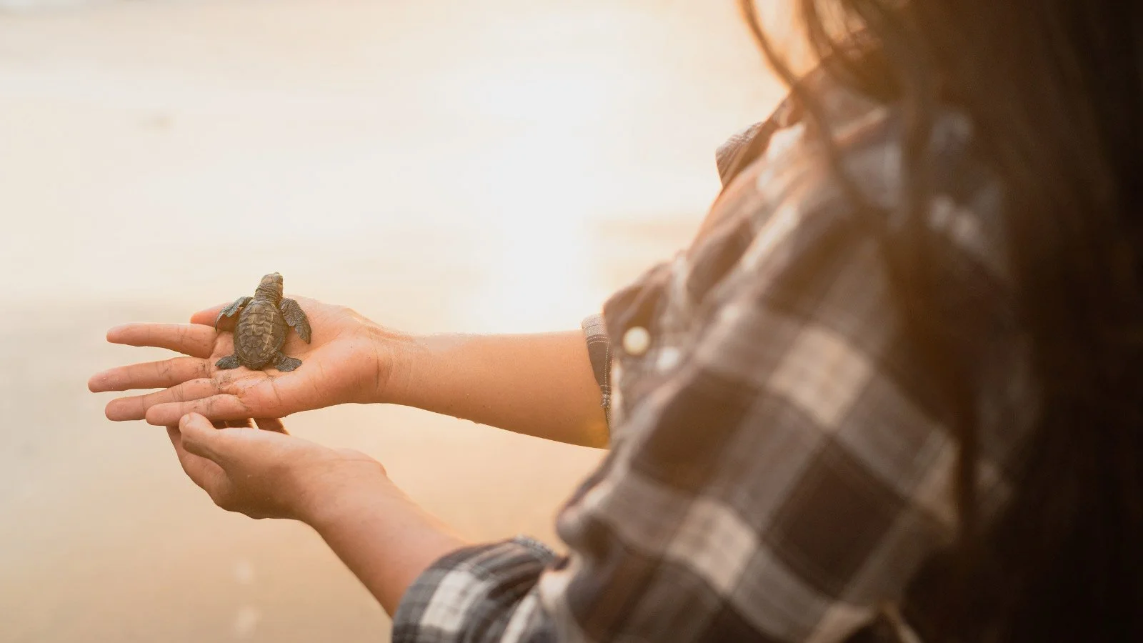 Slow Down to Savor God’s Message