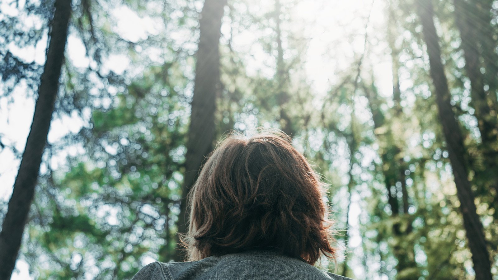 Chameleon Hair and an Unchanging God