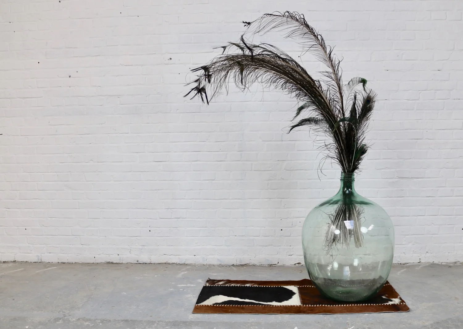 Peacock feathers - set of 6 pieces