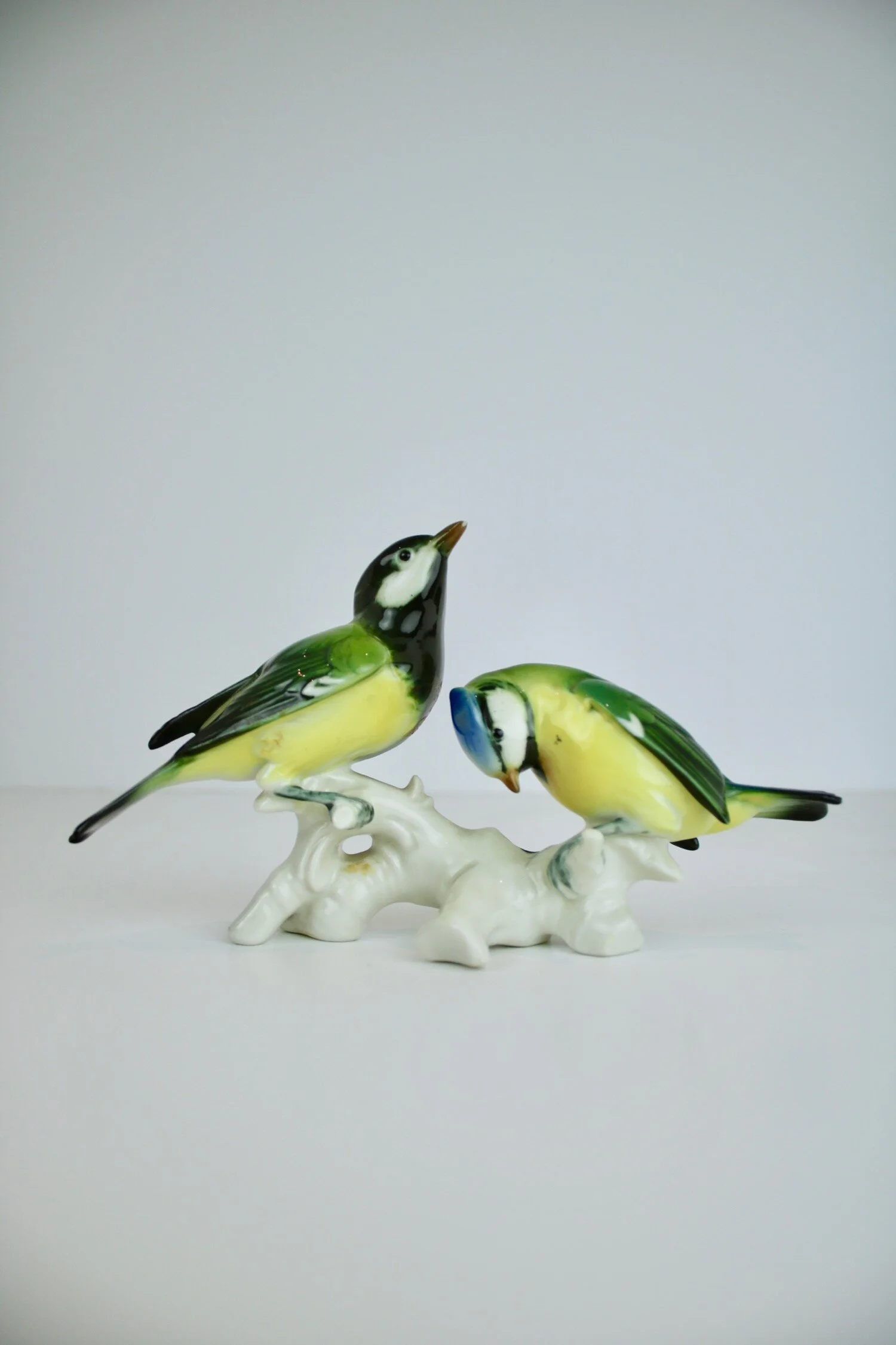 2 BIRDS ON BRANCH - 3.jpg