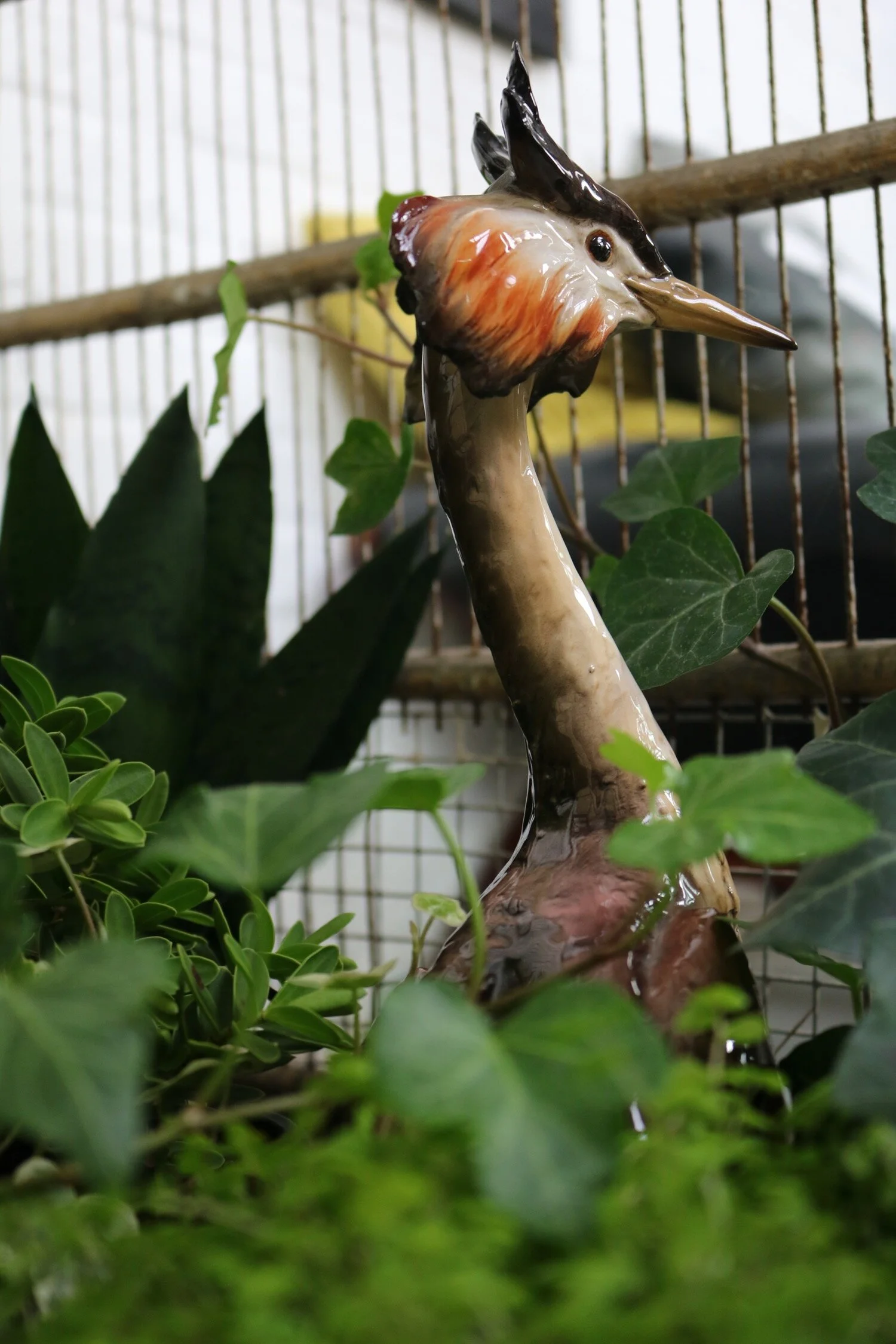 Bird with weird cheeks posture H30