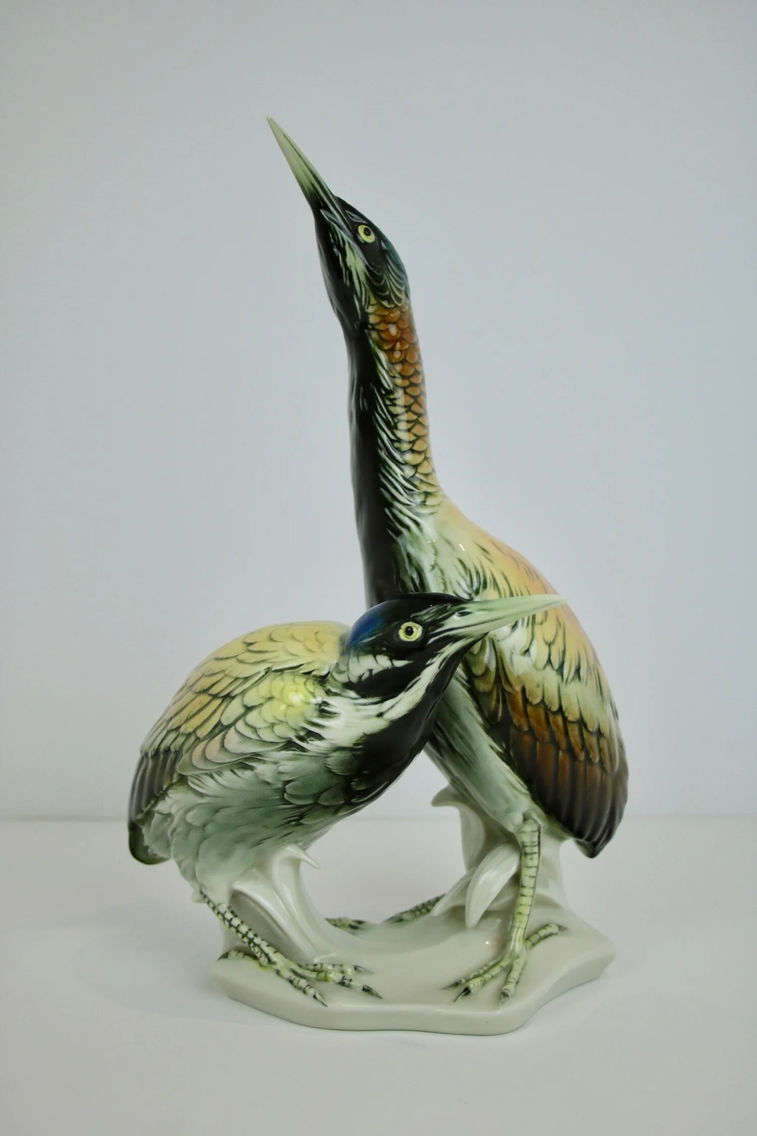 double bird high low - 3.jpg