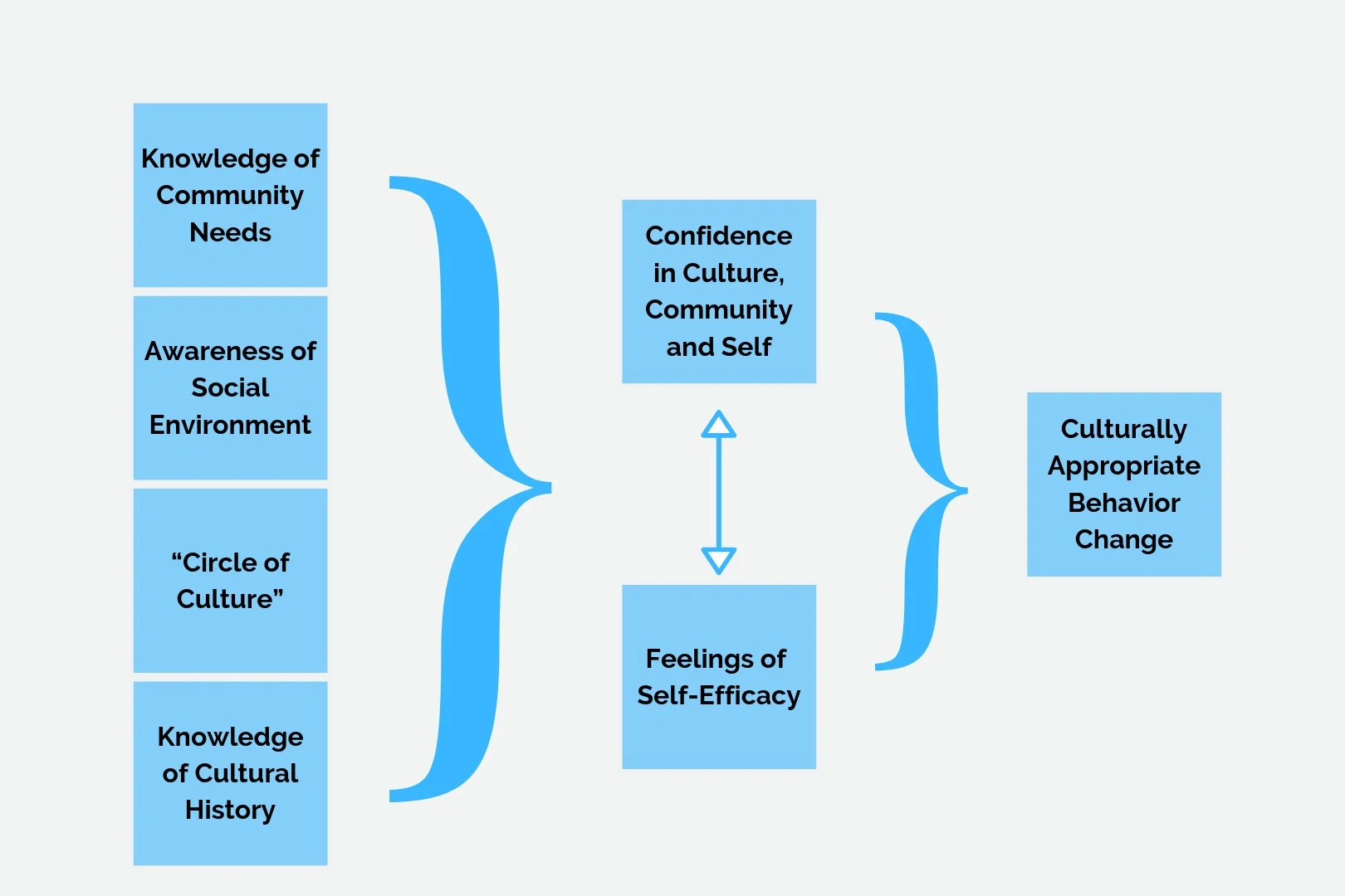 Confidence in Culture - Conceptual Model