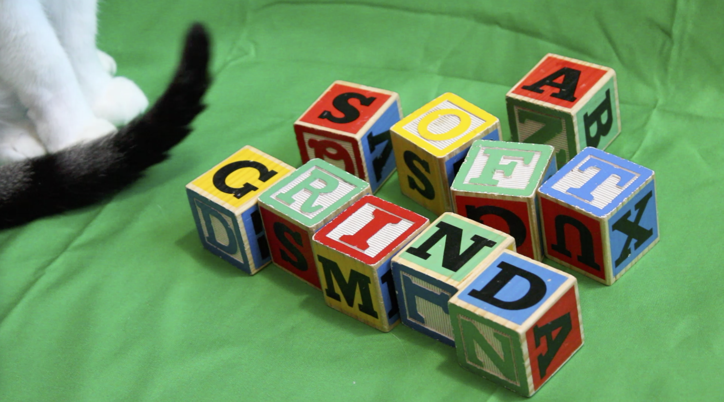 Screenshot 2026-03-15 at 3.18.20 PM.png