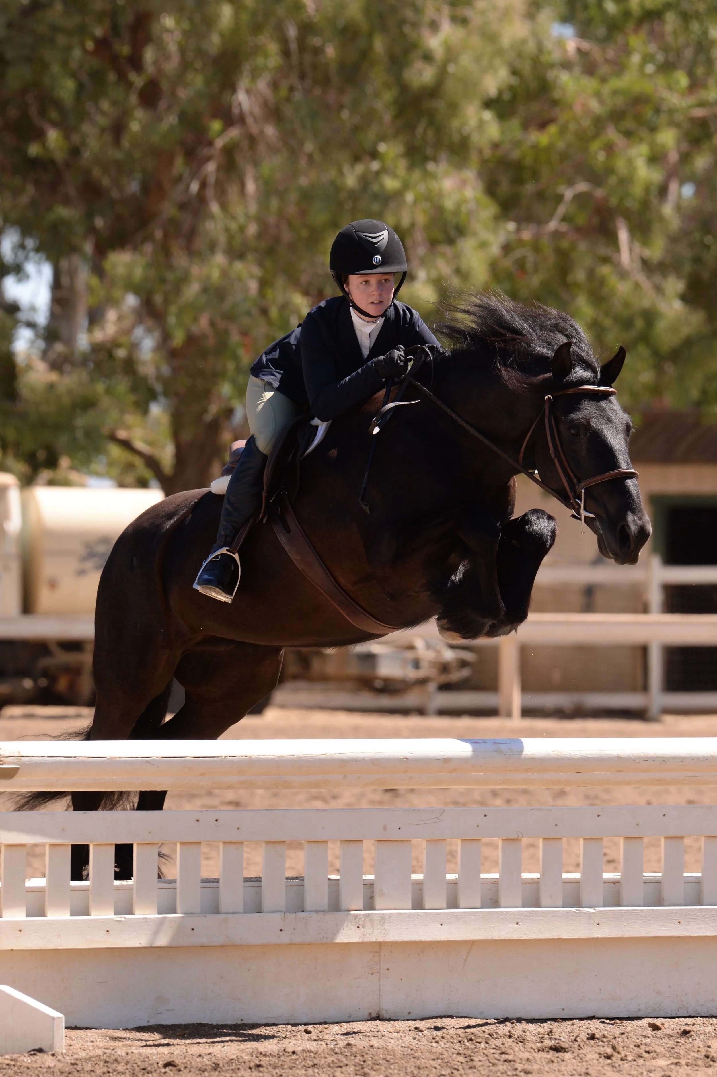 Bickerdike Expresso Magic, 2005 gelding, ridden by Morgan Vonderach