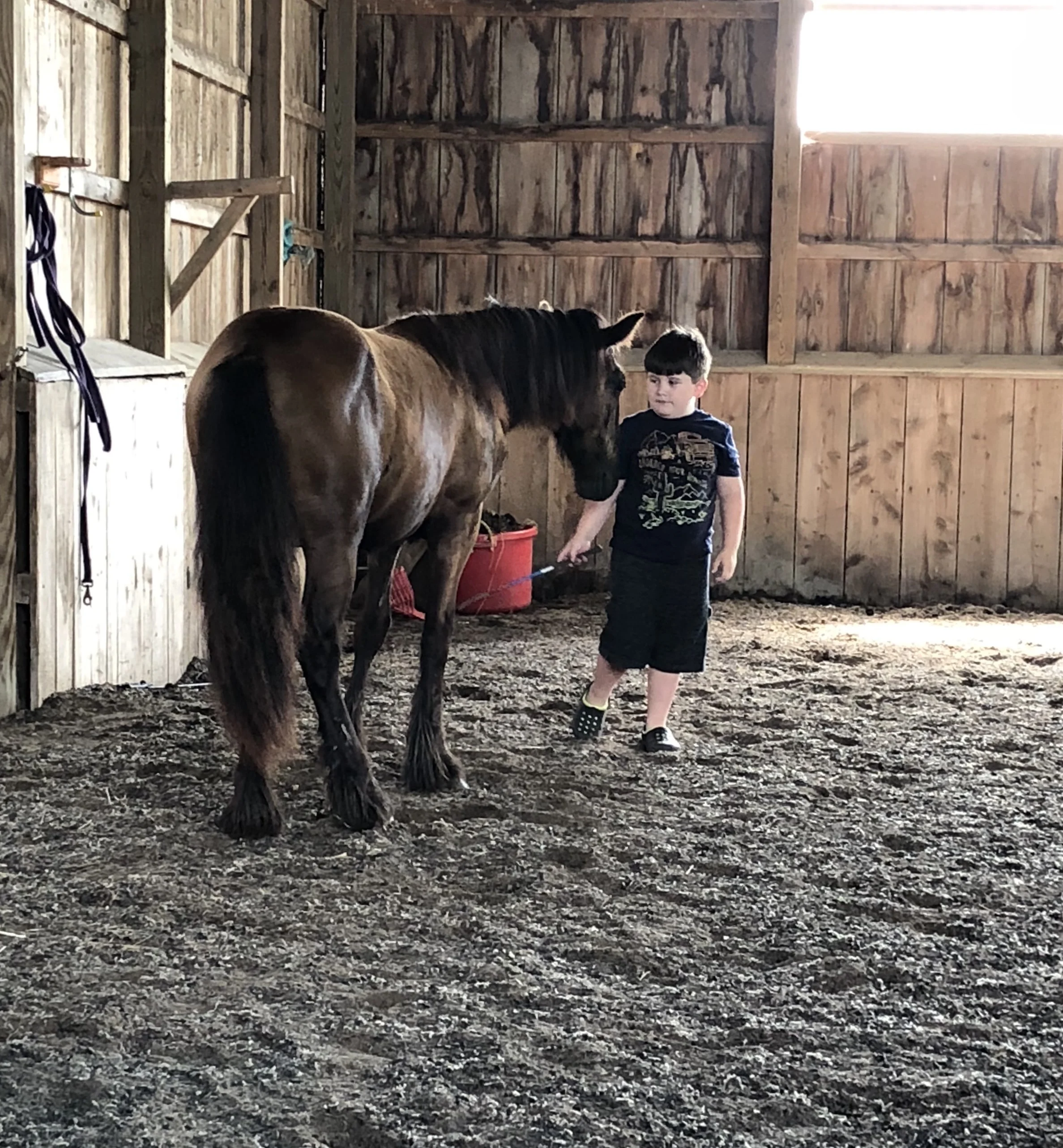 Blackshadow Supernova, 2017 colt and stallion prospect, with his young trainer