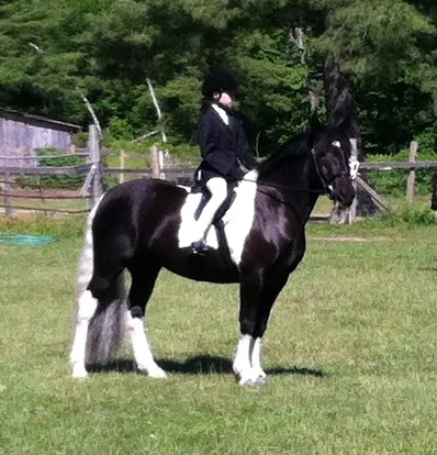 Raspotnik Lila, partbred mare, with owner Sydney Morris