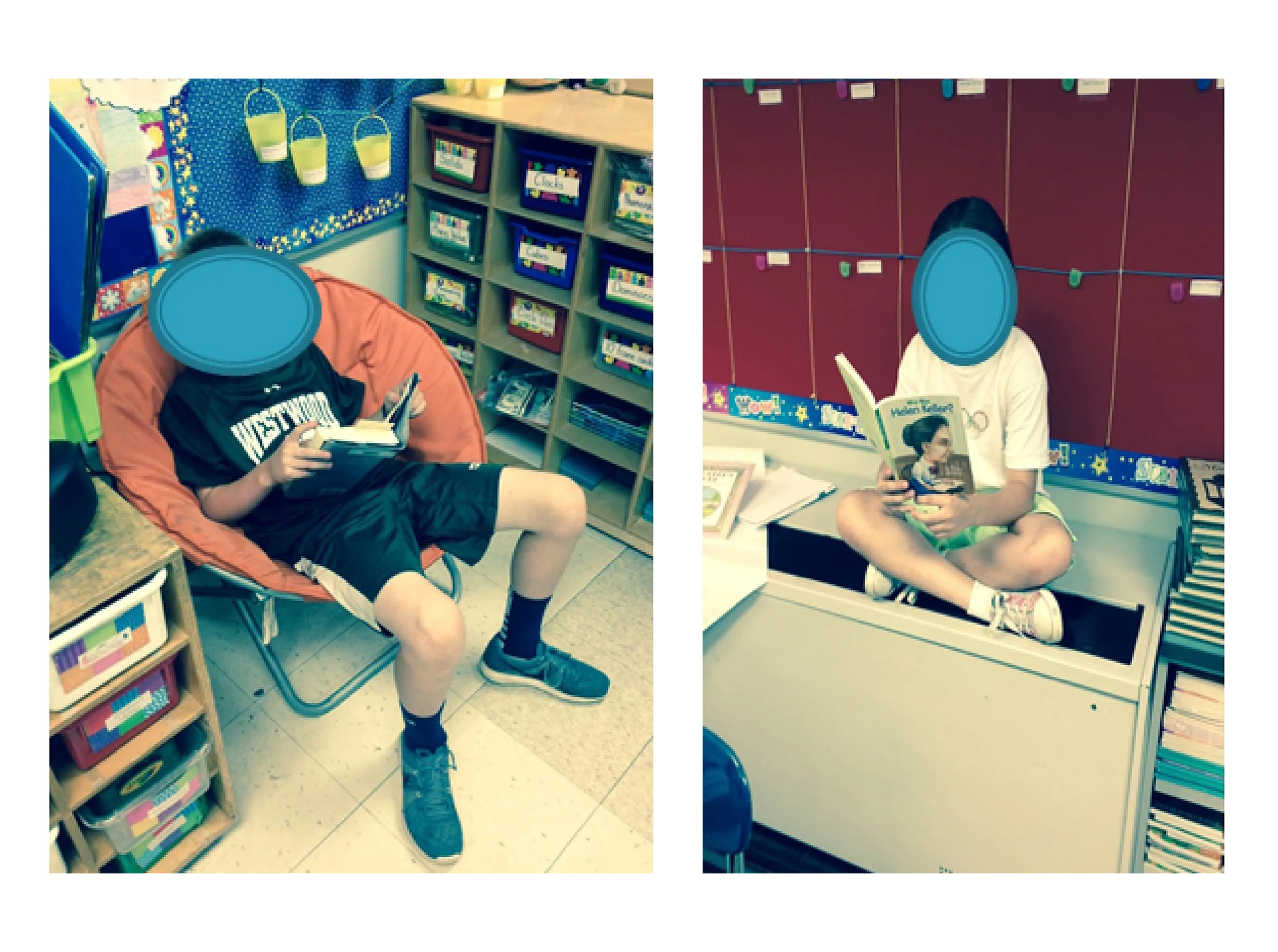 Environmental Survey