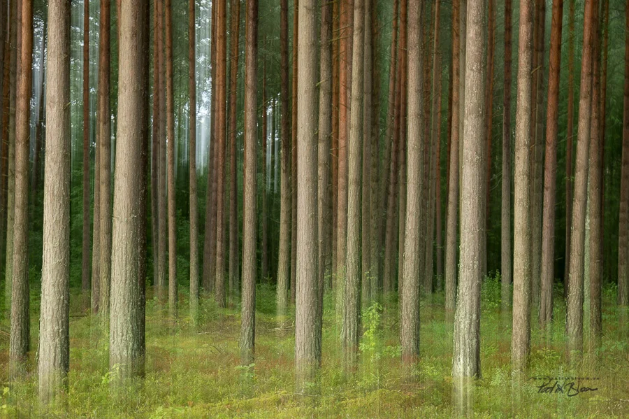 _PBL8779.jpg