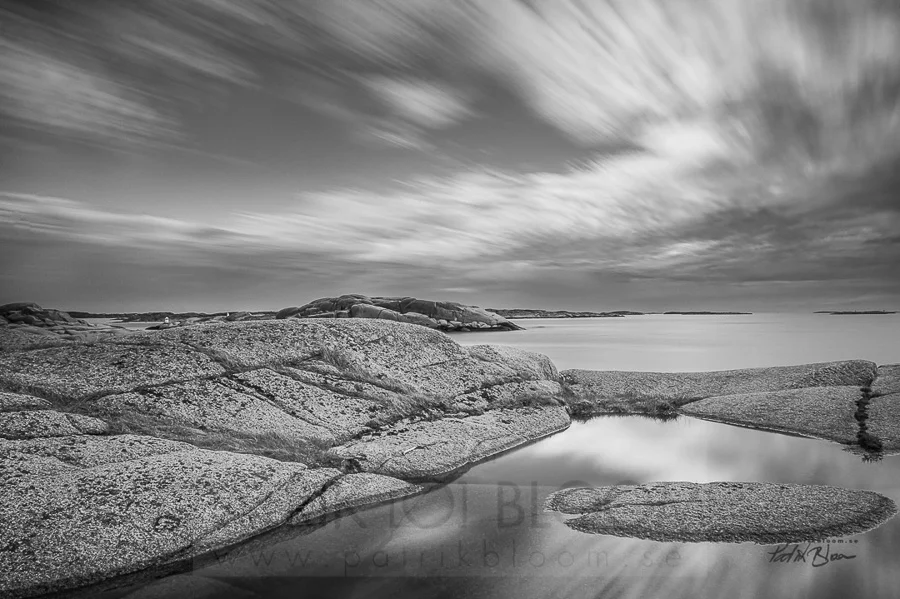 bloom_280412_184133-2.jpg