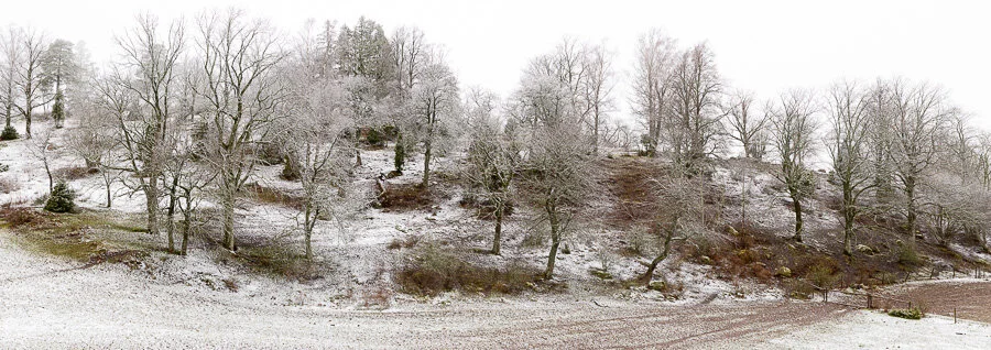 Lycke-Lilla höjen