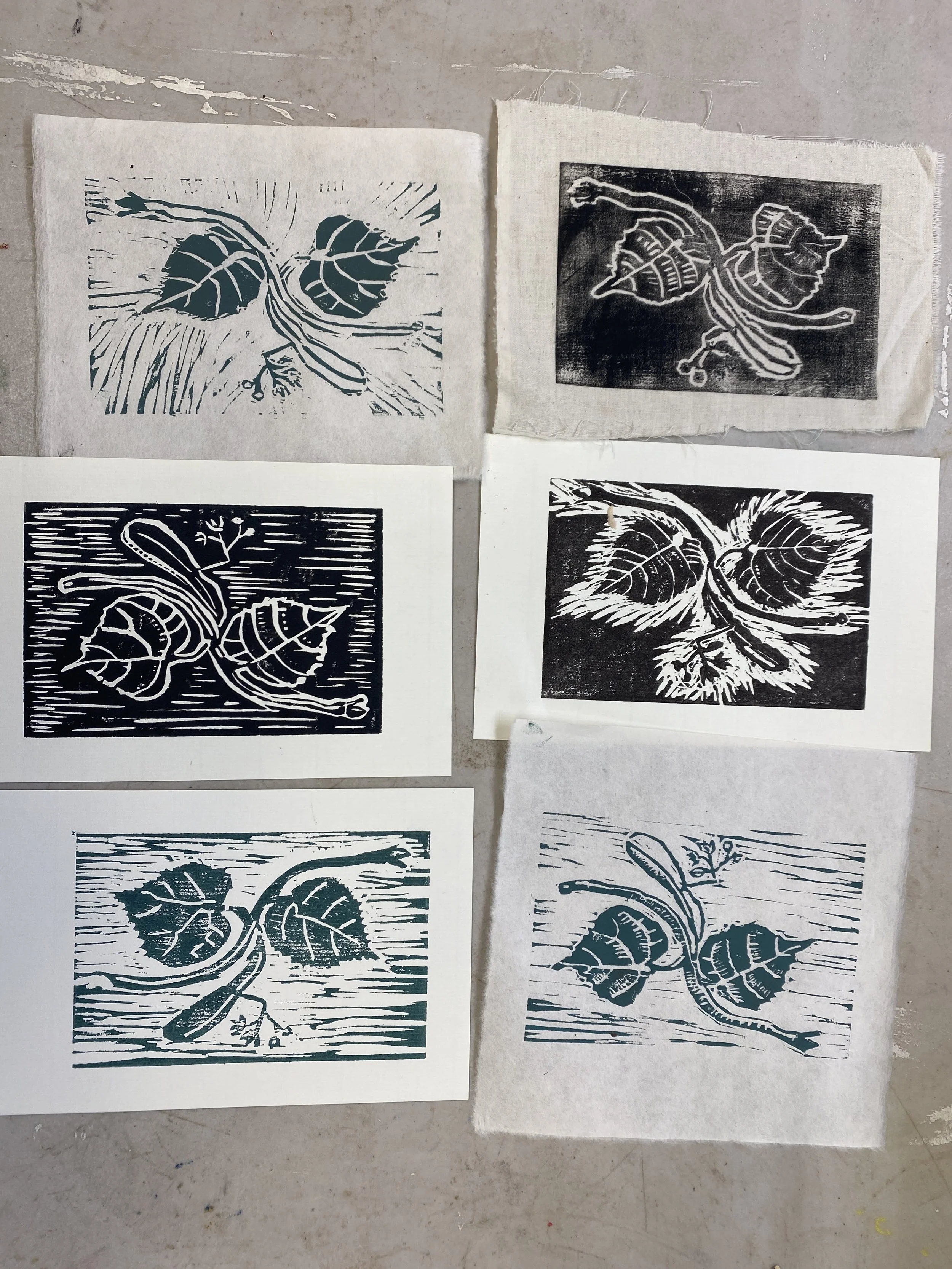 basswood prints 2023.JPG