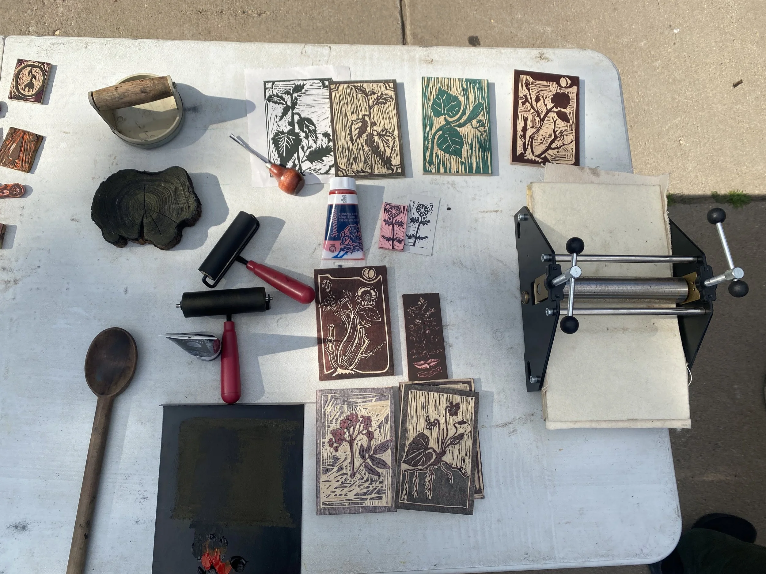 ways of plants and buckthorn printmaking setup.JPG