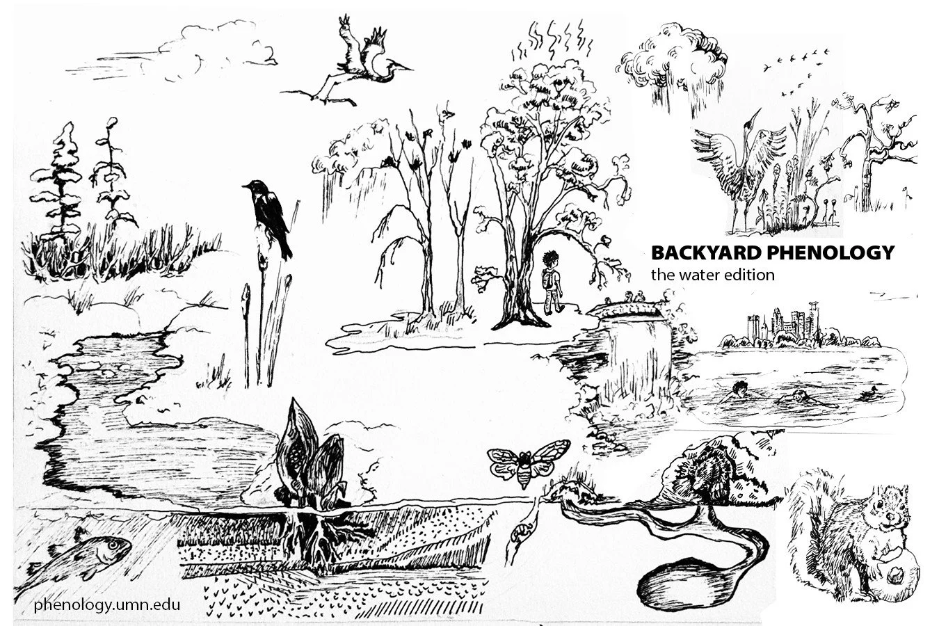 Backyard phenology calendar cover.jpg