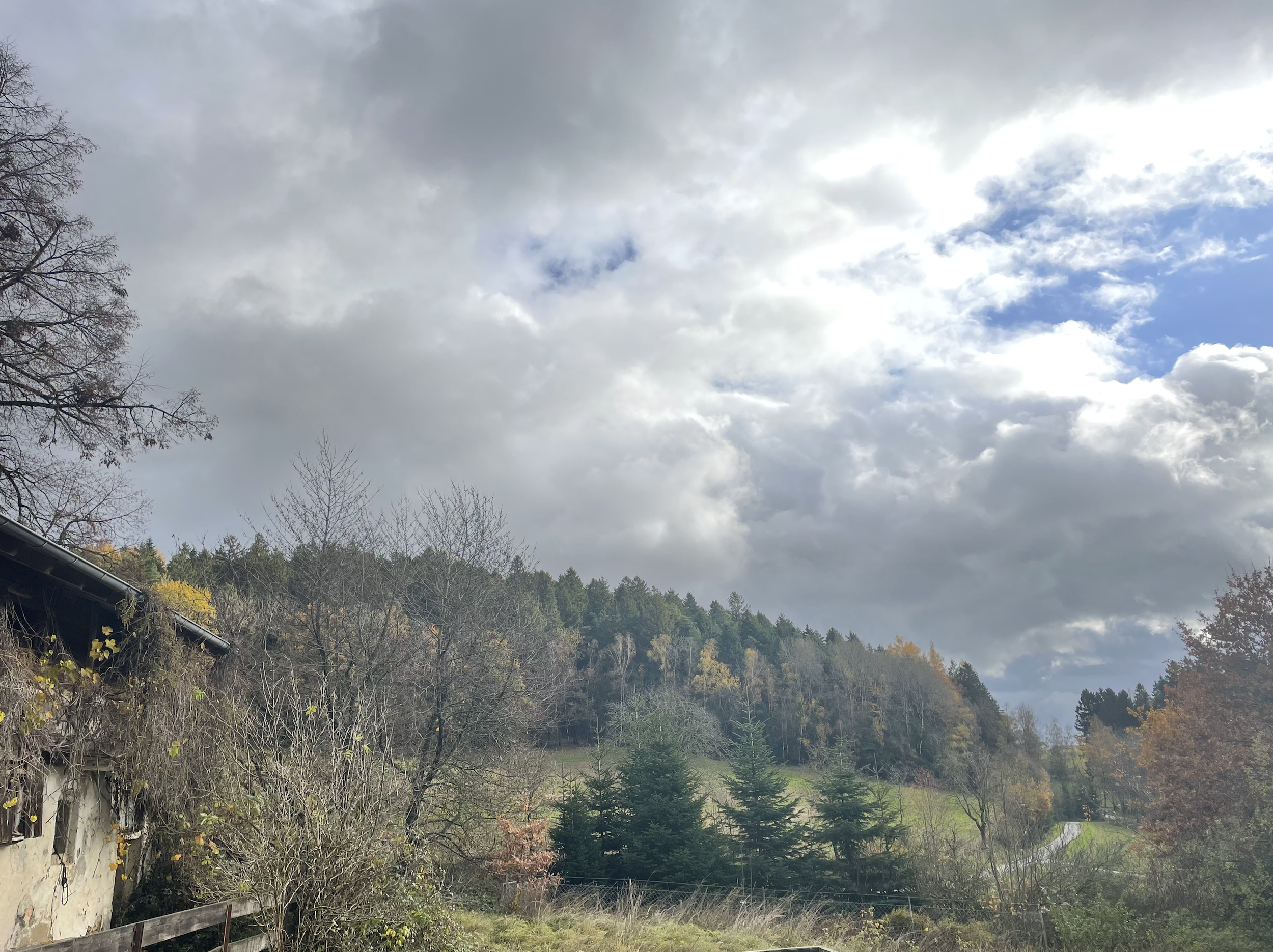 Picture of landscape showing Bavarian hills and trees