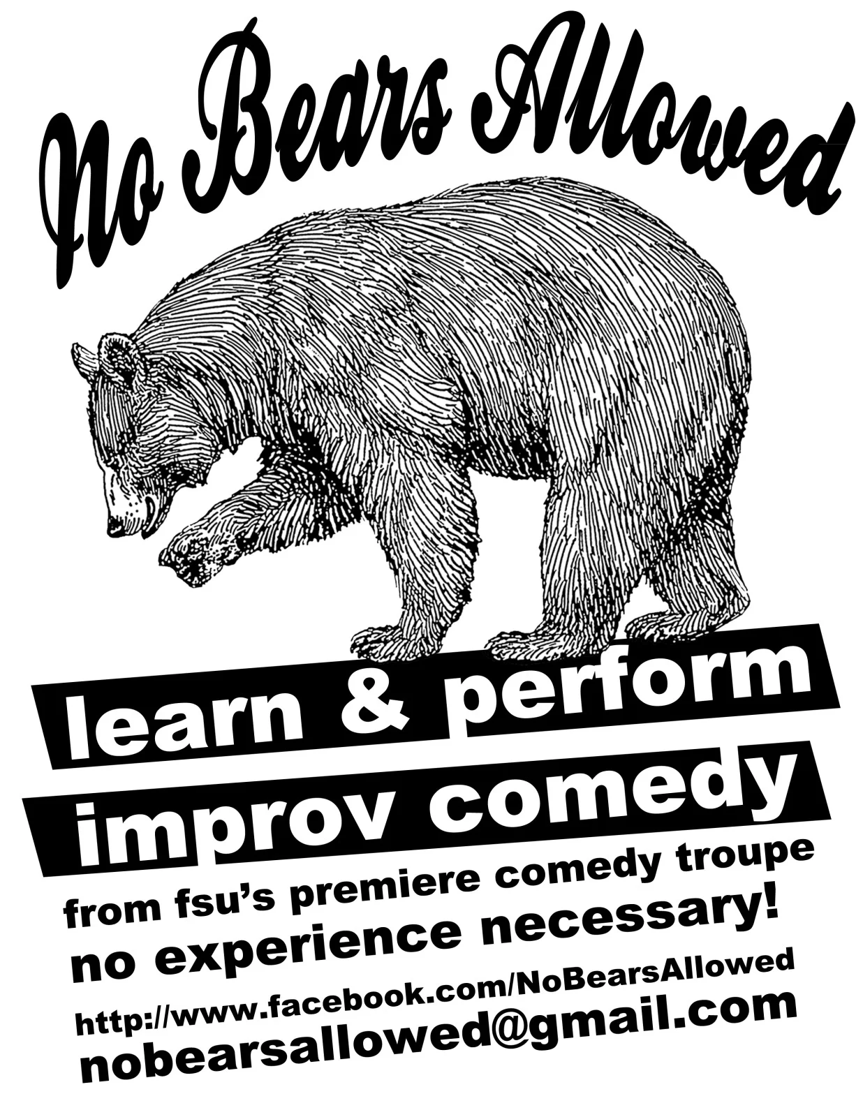 NO BEARS.jpg