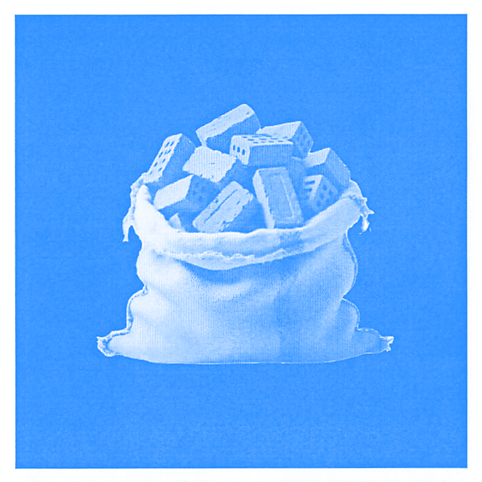 Bag of Bricks