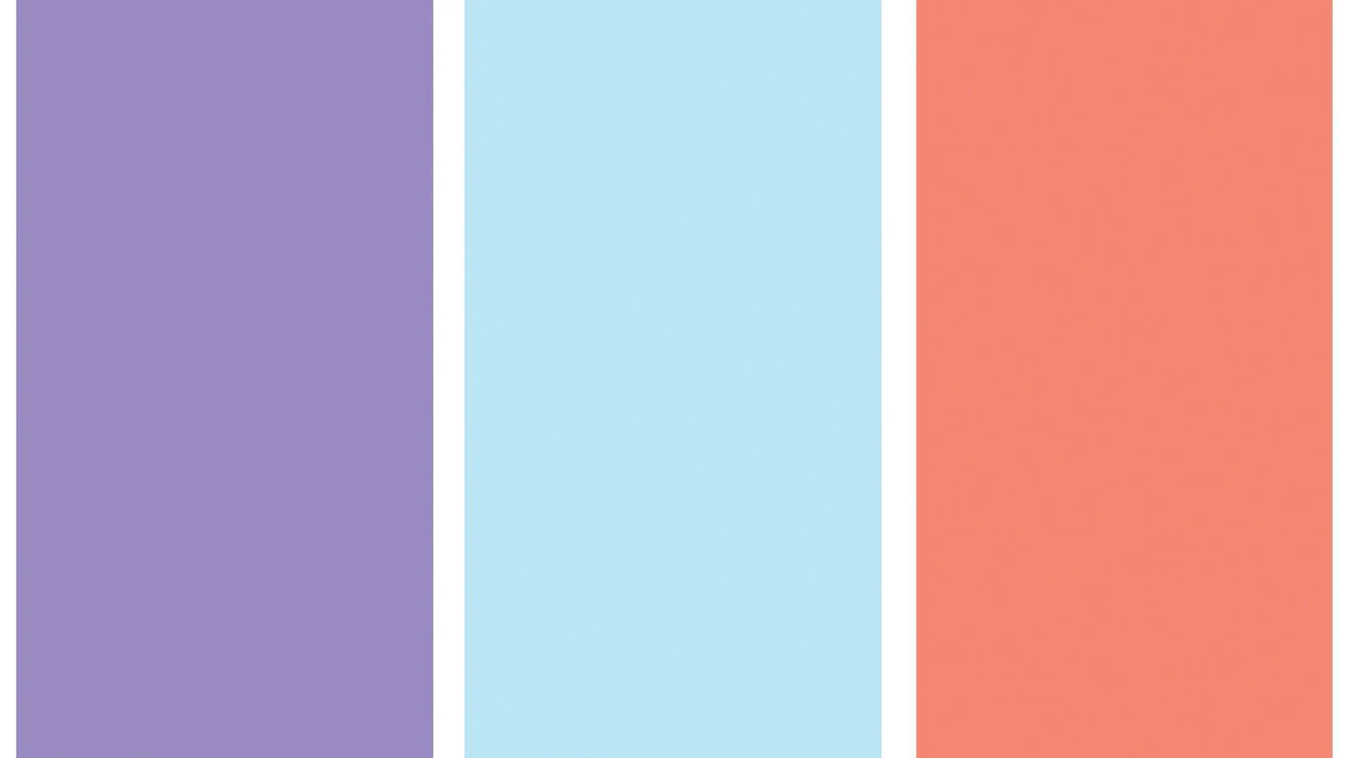 HankyPanky_BrandArtboard 20.jpg