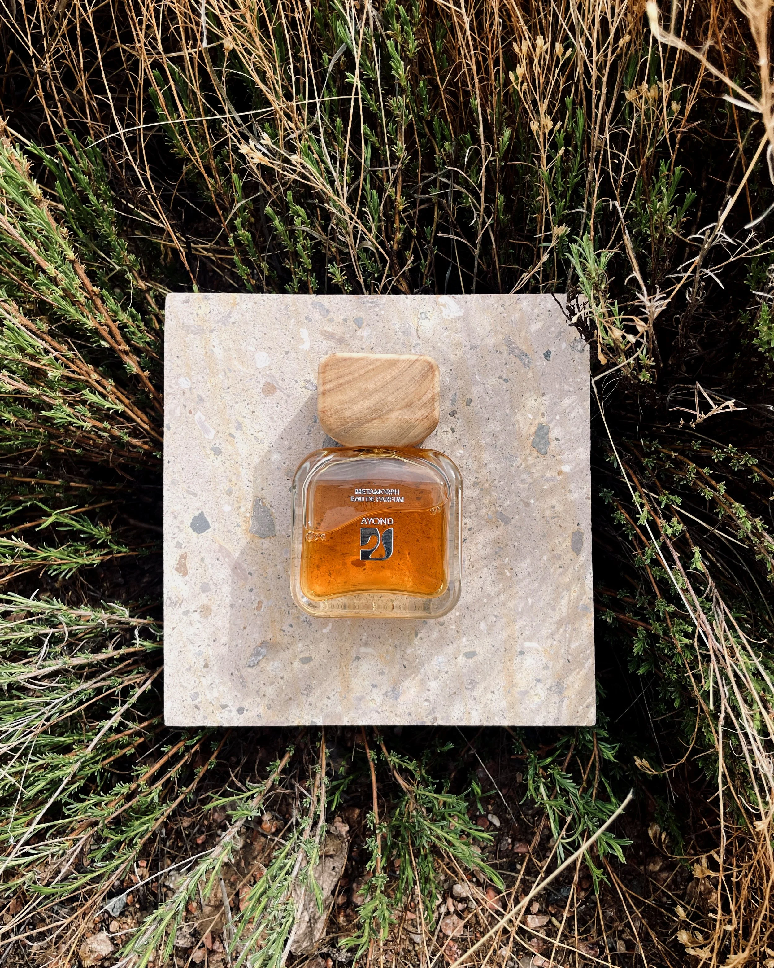 GRASS-STONE_METAMORPH_01.jpg