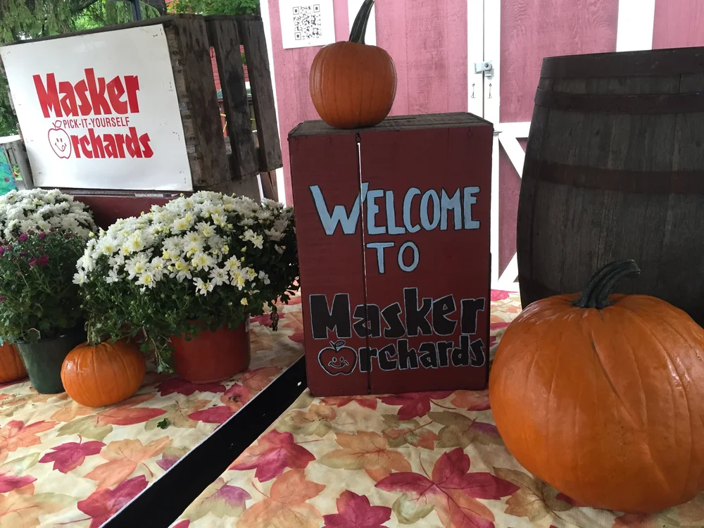 Maskers Signs.JPG
