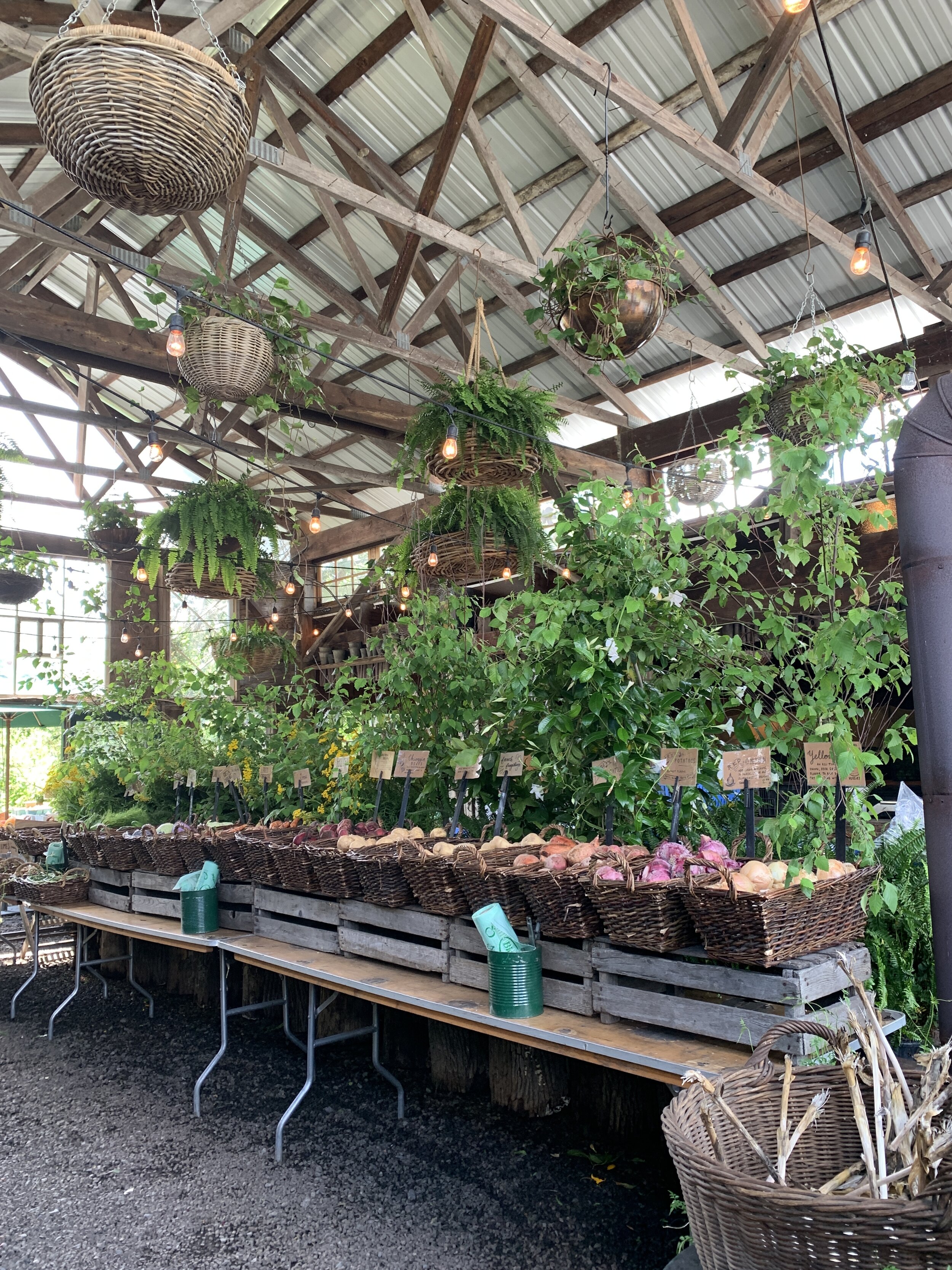 Blooming Hill Farms Produce.JPG
