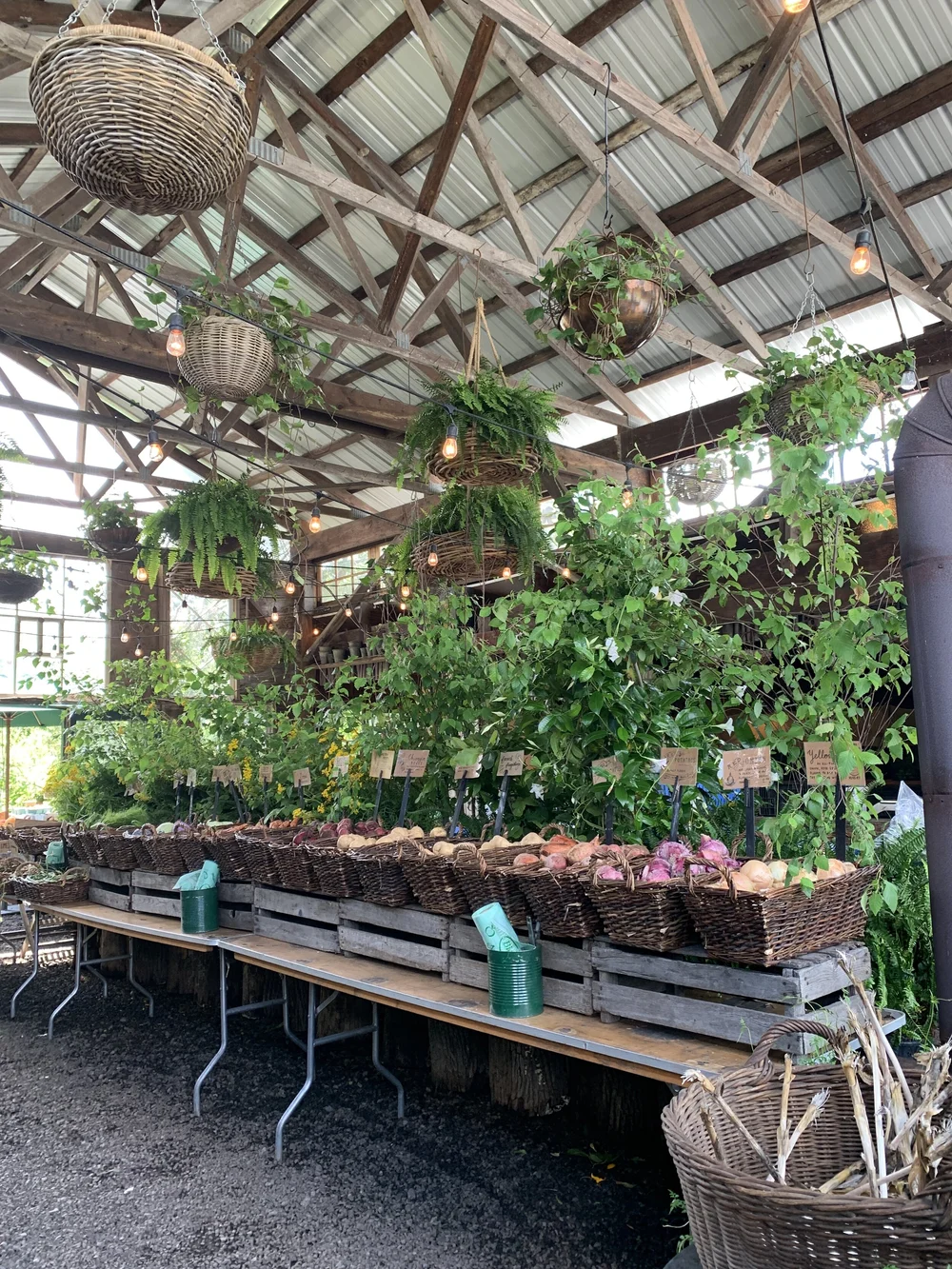 Blooming Hill Farms Produce.JPG