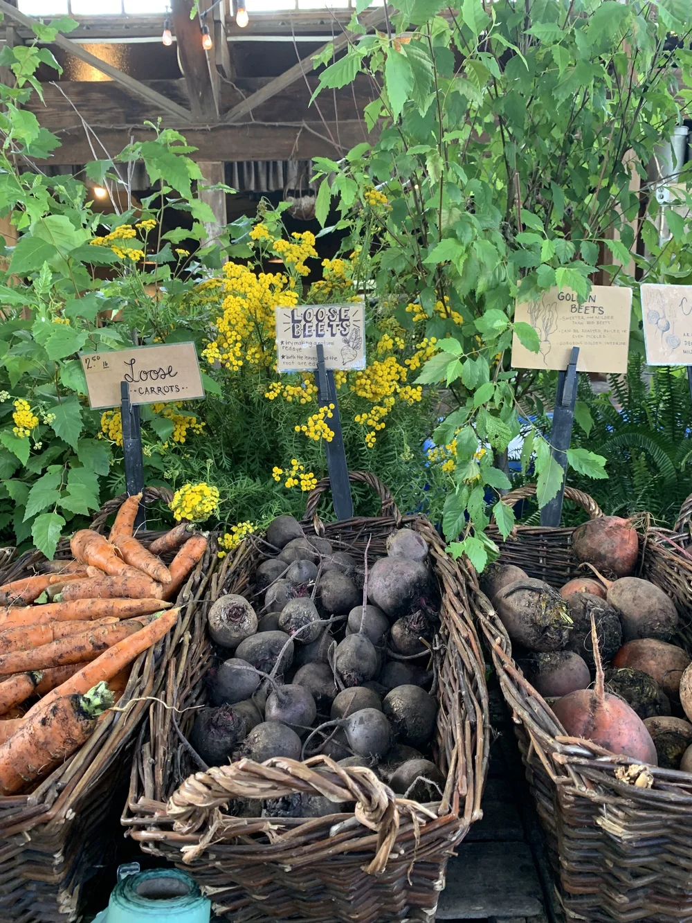 Blooming Hill Produce 2.JPG