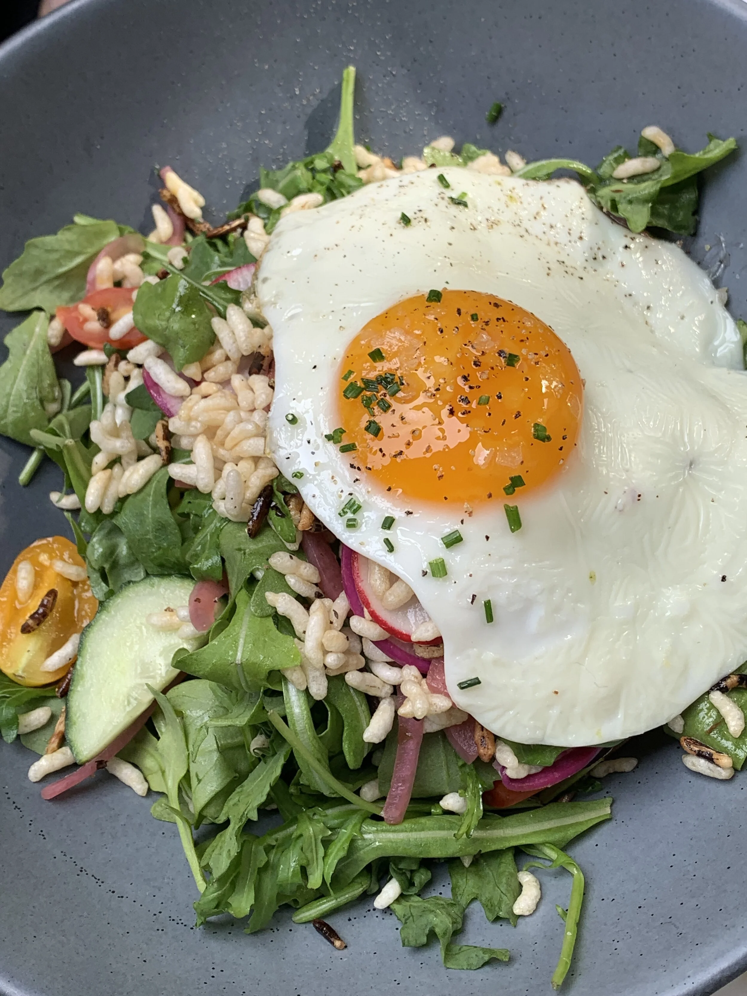 Best Brunch Spots in New York City  - Manhattan