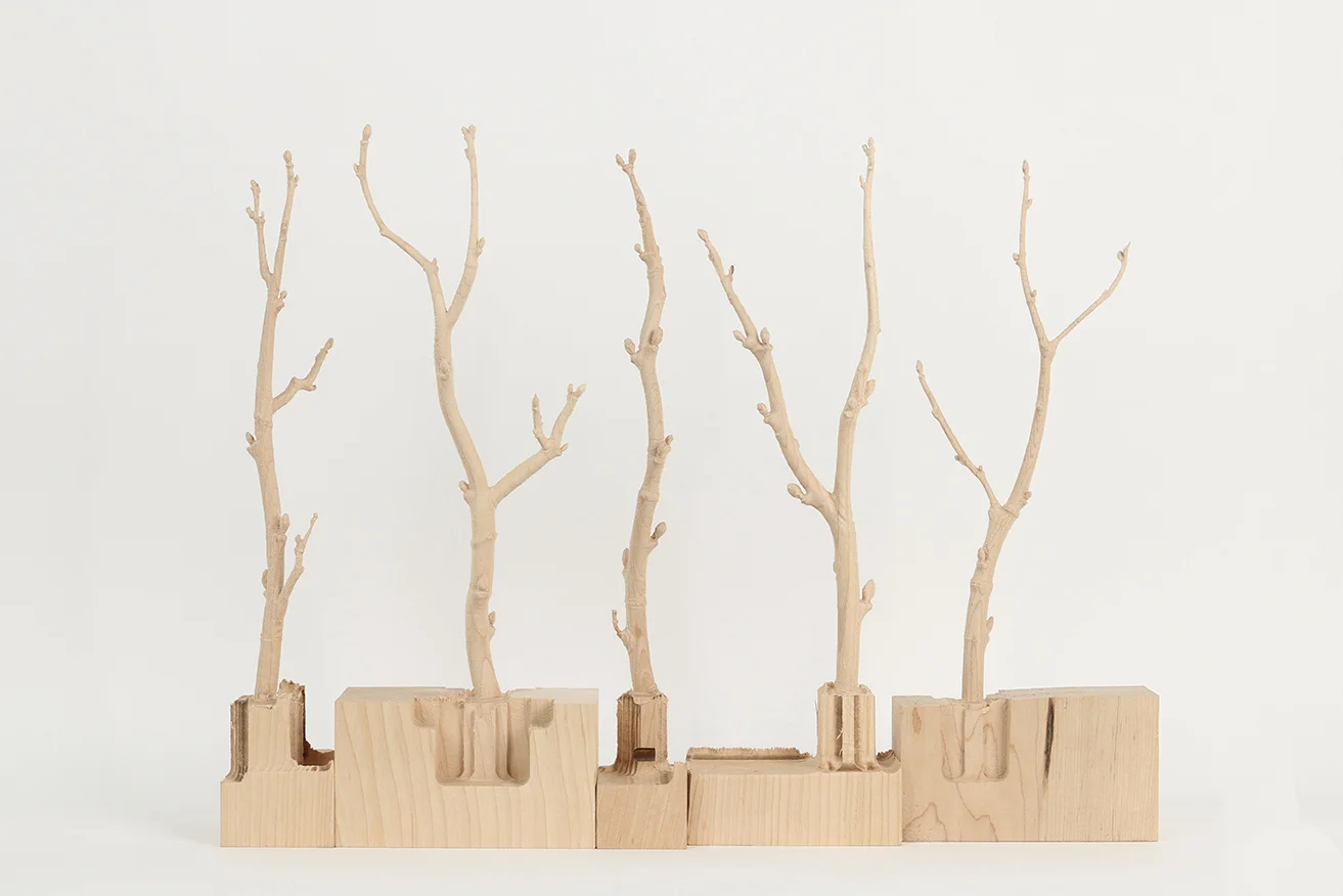 Second Nature by Sebastian Errazuriz 37.jpg