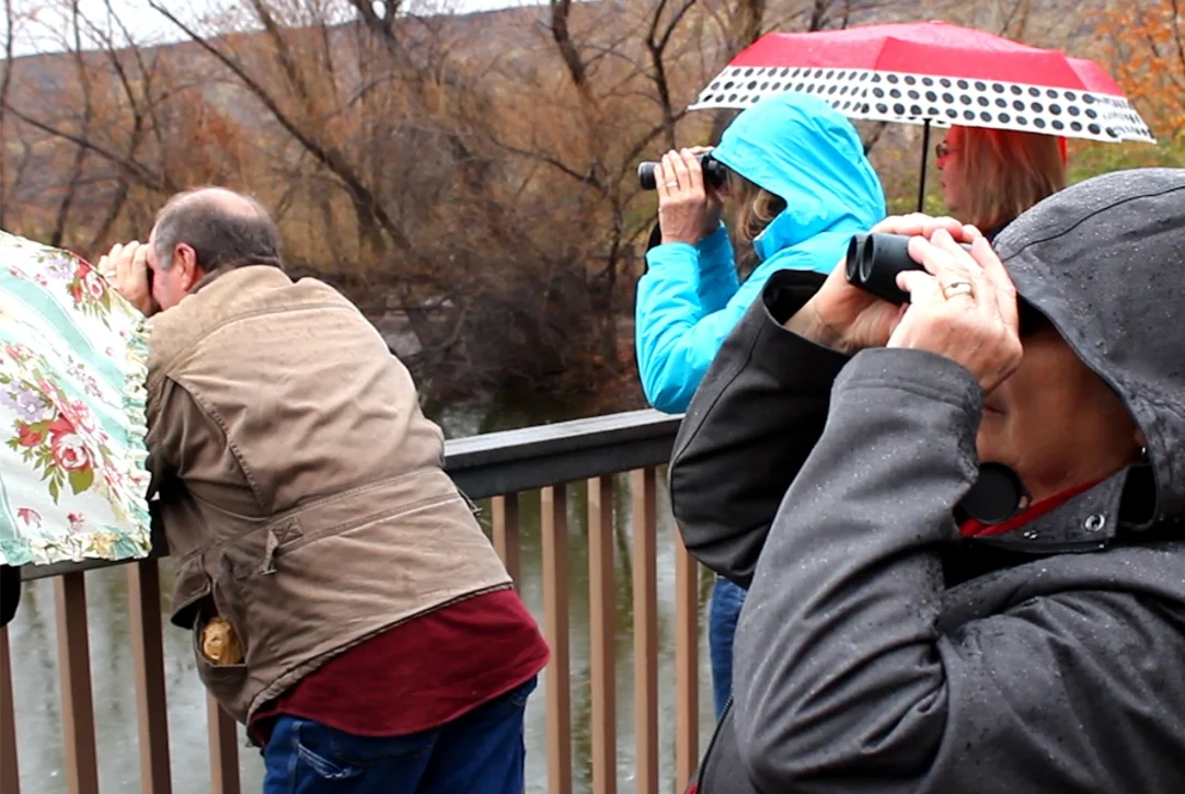 birding.jpg