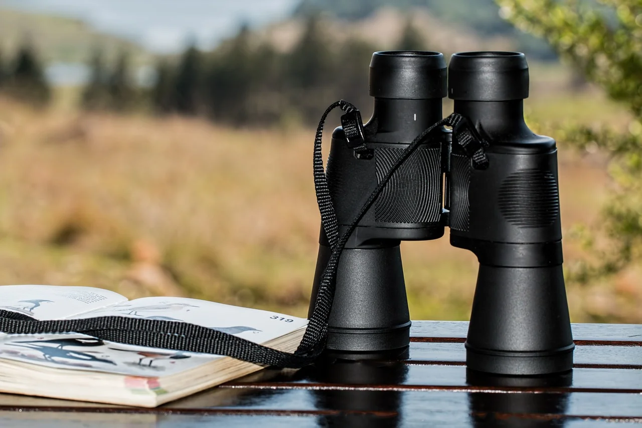 binoculars for birding