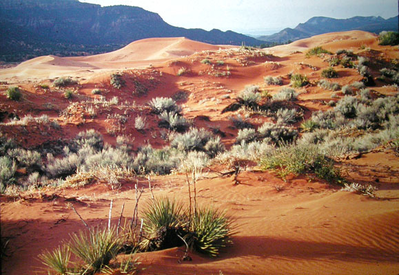 CBC - Kanab