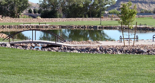 Wednesday Bird Walk