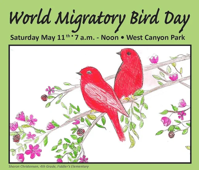 World Migratory Bird Day Celebration