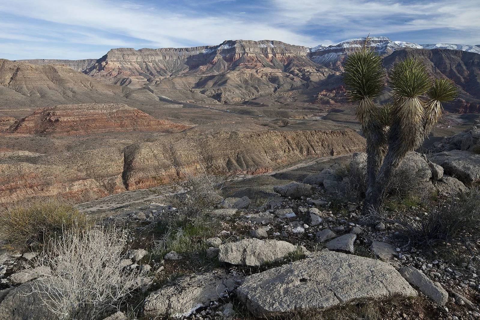 Beaver Dam Wash.jpg