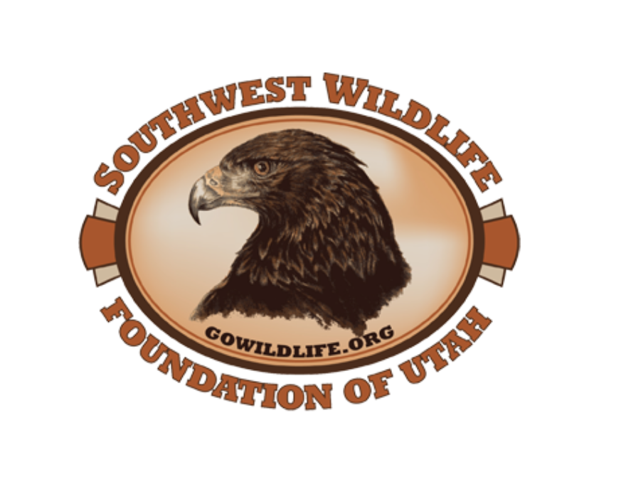 Monthly Member Meeting