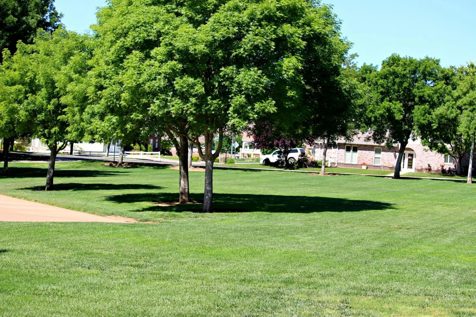 Wednesday Bird Walk: Boots-Cox Park and Crosby Family Confluence Park