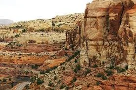 Christmas Bird Count - Boulder