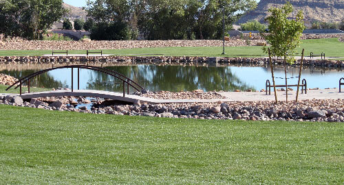 Wednesday Bird Walk