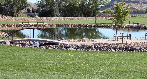 Wednesday Bird Walk