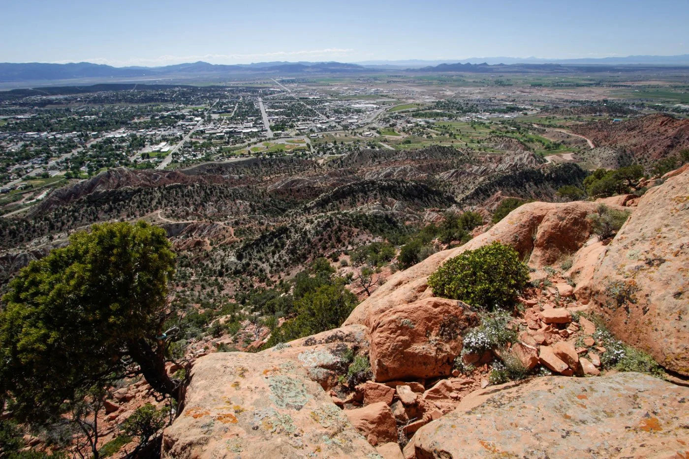 Christmas Bird Count - Cedar City