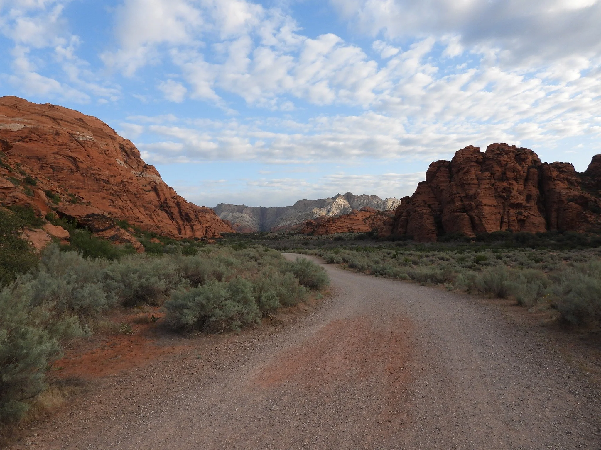 Red Cliffs Bird Fest at Greater Zion