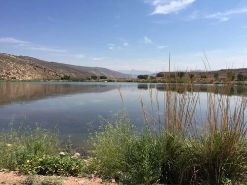 Wednesday Bird Walk: Grandpa's Pond