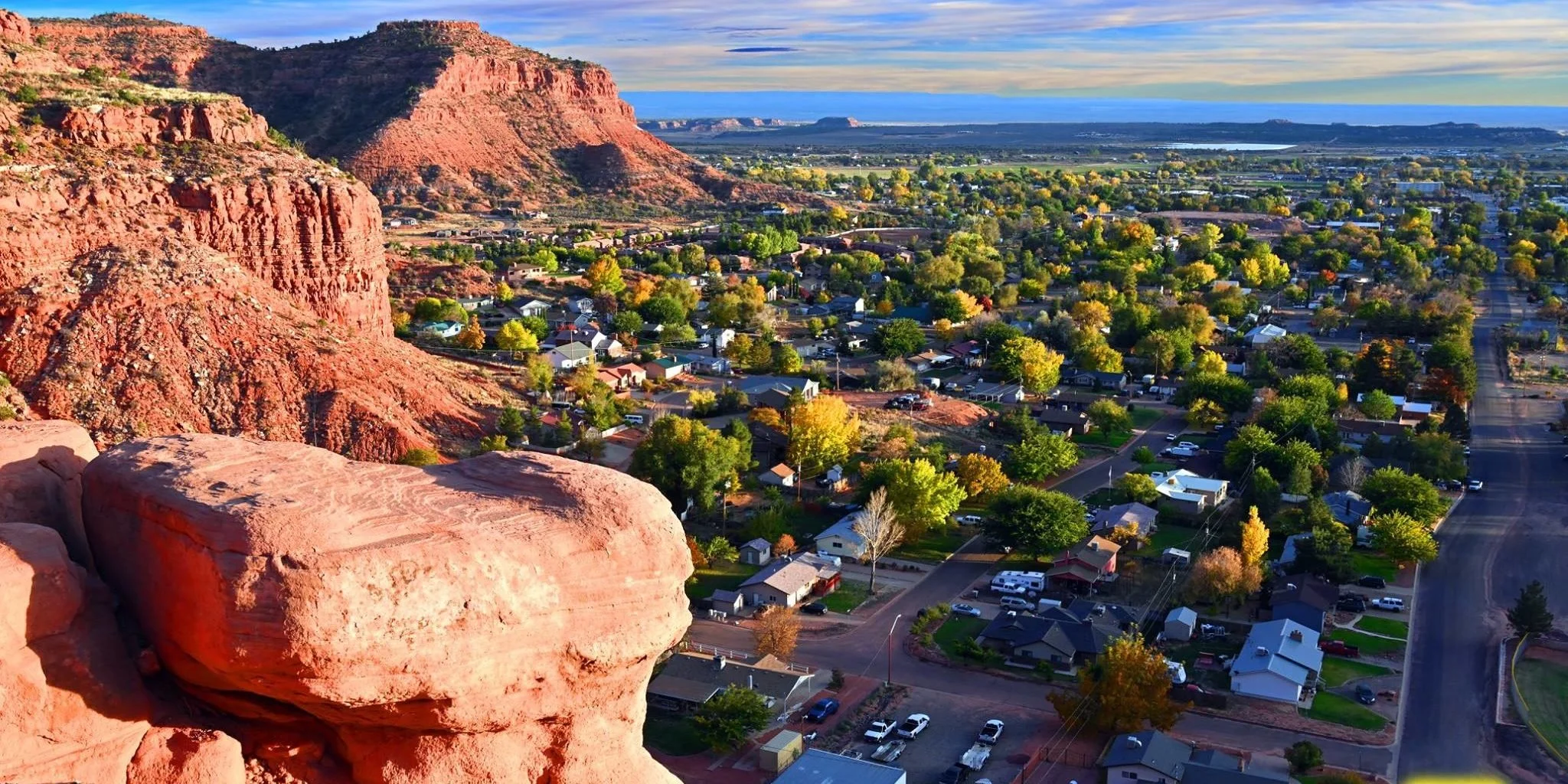 Christmas Bird Count