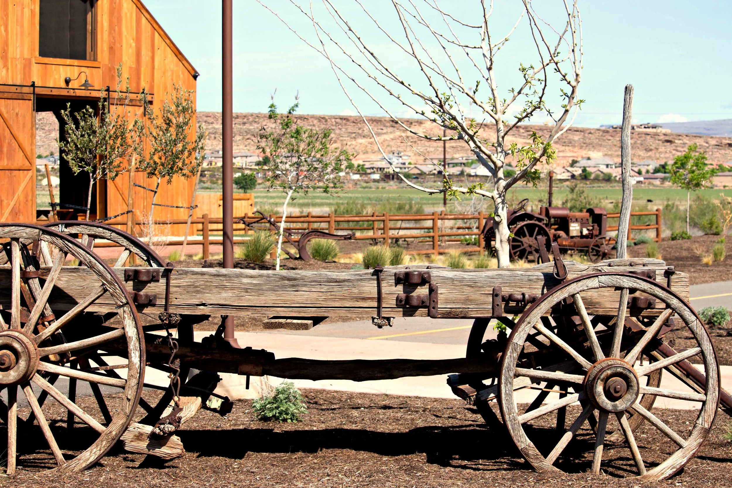 Wednesday Bird Walk: Help Seegmiller Historic Farm