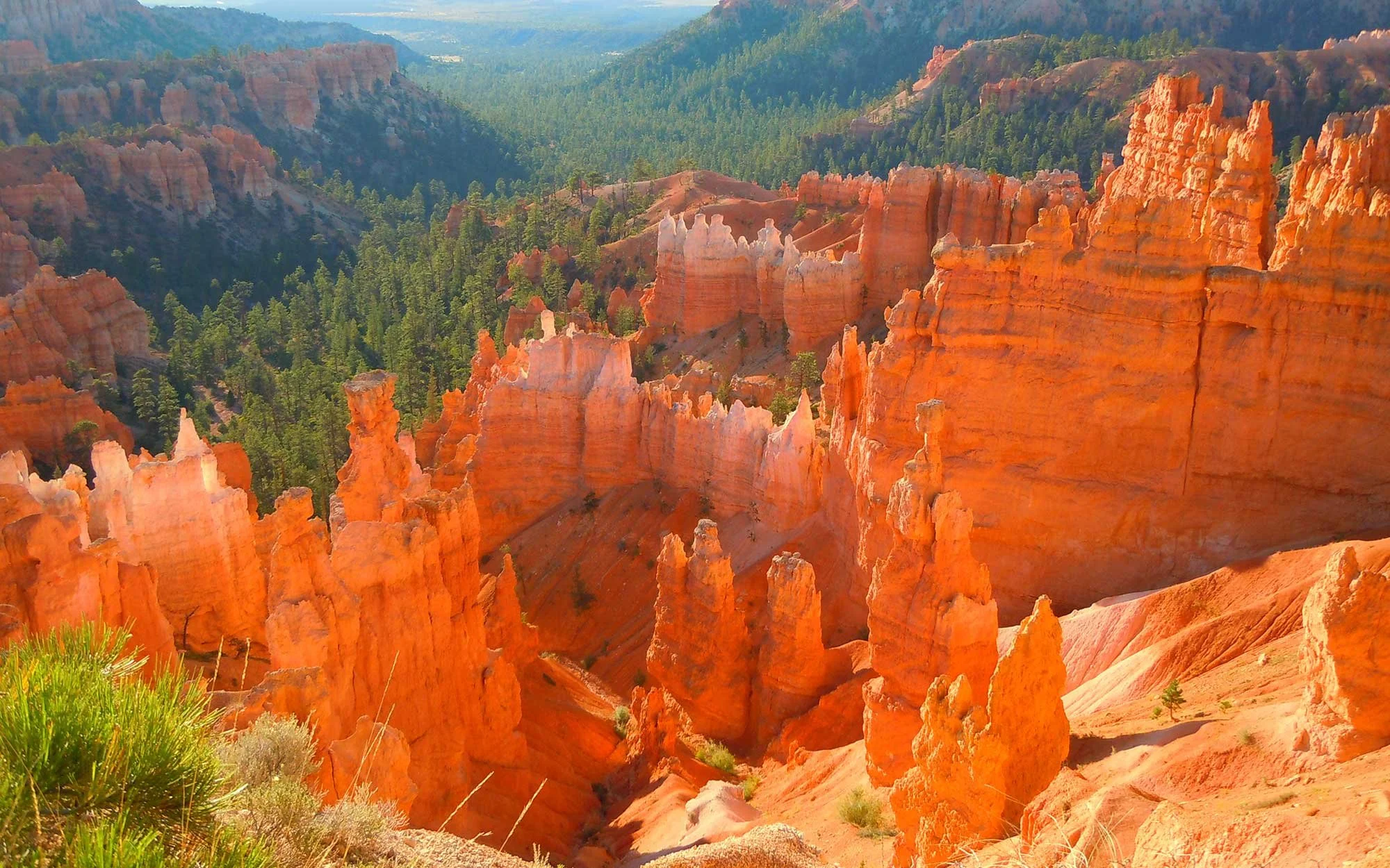 CBC - Bryce Canyon