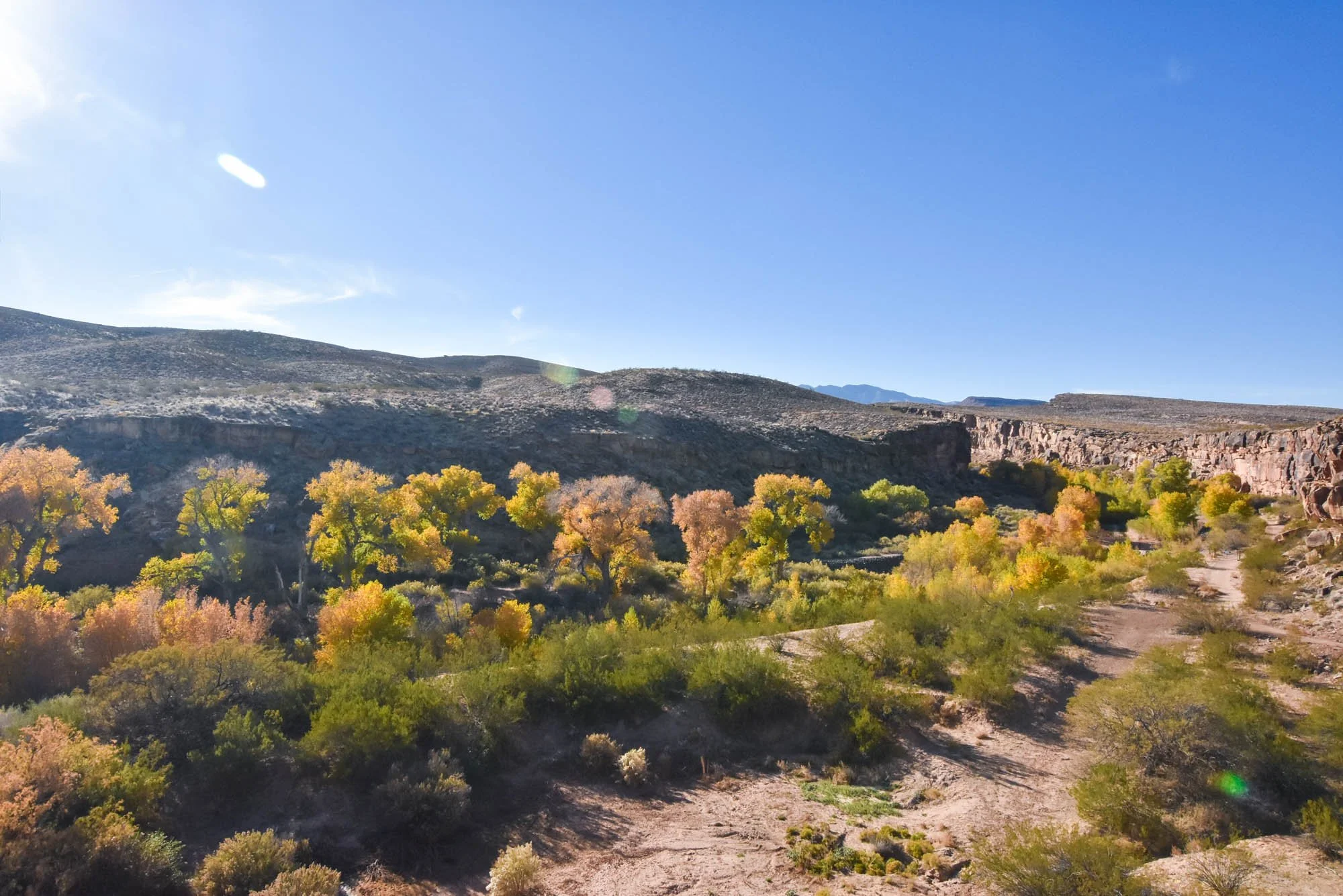 Wednesday Bird Walk: Enepitsi Trail